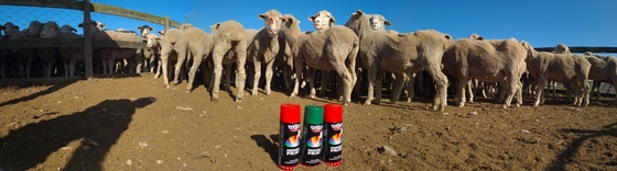 500ml Plyfit Sheep Marking Paint Ramah Lingkungan Warna Ekor Hewan Menandai Cat Semprot