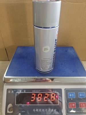 Cat Semprot Metalik Cepat Kering Warna Siliver 300ml Tinplate TUV